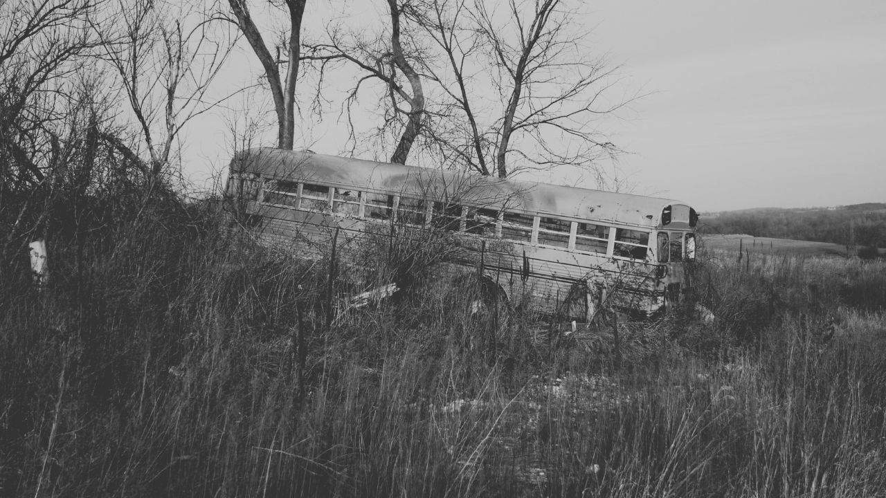 O ônibus escolar e outras histórias