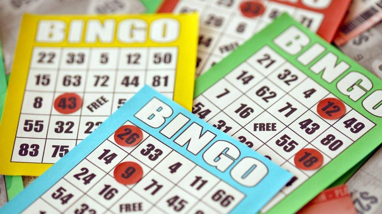 Passo a passo de como jogar bingo online