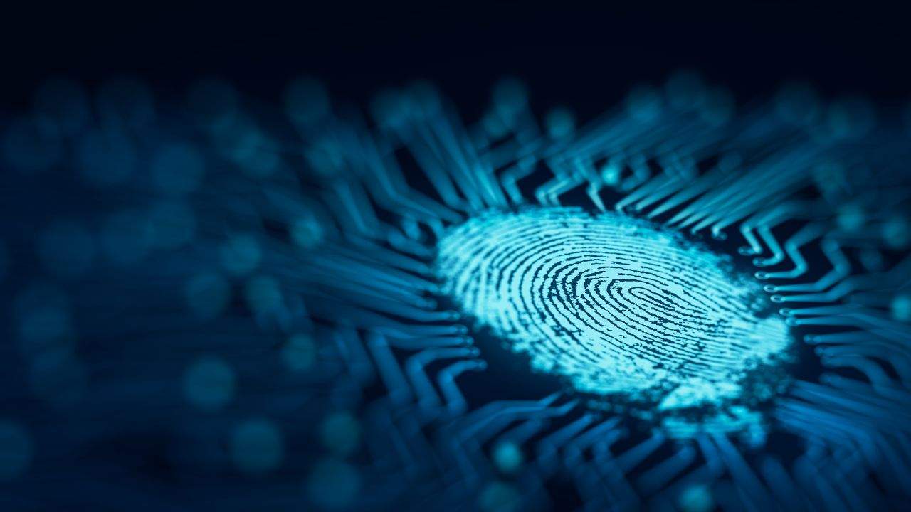 O que é Website Traffic Fingerprinting