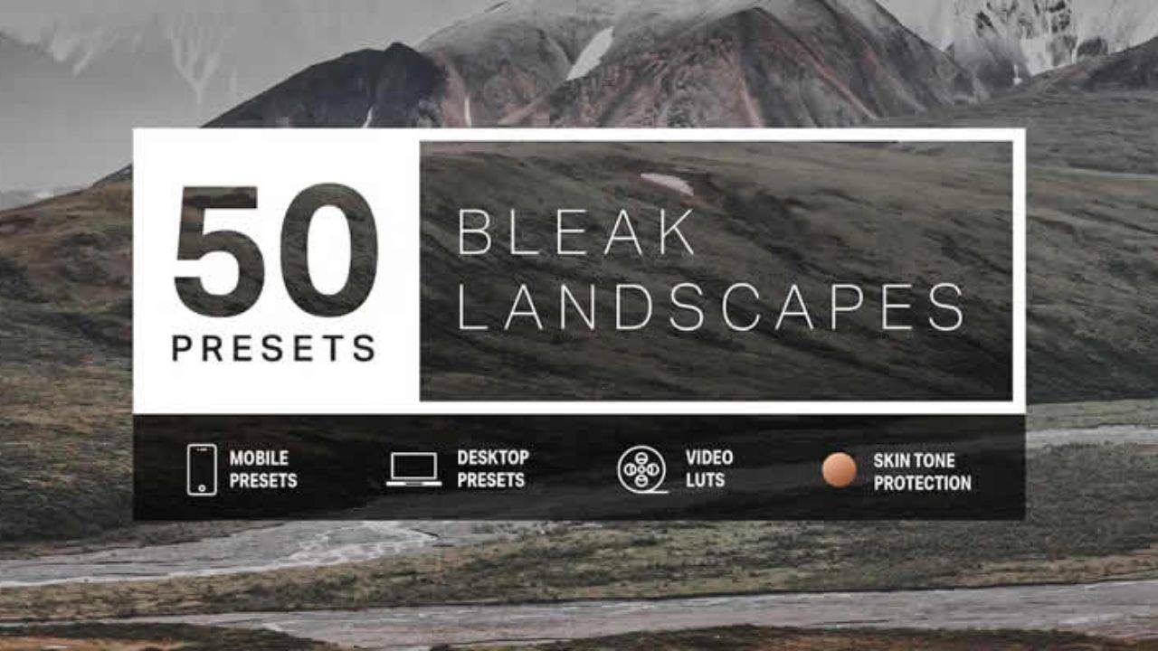 2. Bleak Lightroom Presets & LUTs