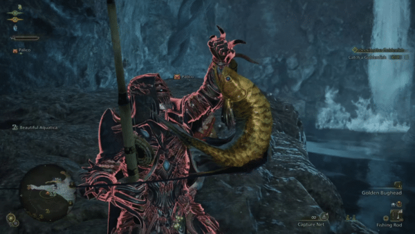 Monster Hunter Wilds – onde encontrar o peixe dourado Monster Hunter Wilds – onde encontrar o peixe dourado